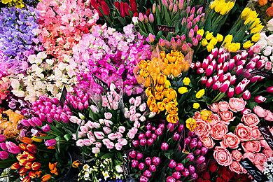 《流放之路2》Steam出现差评轰炸 玩家不满新赛季