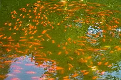 单人开发者探索冒险游戏《欧罗巴》10＆11推出